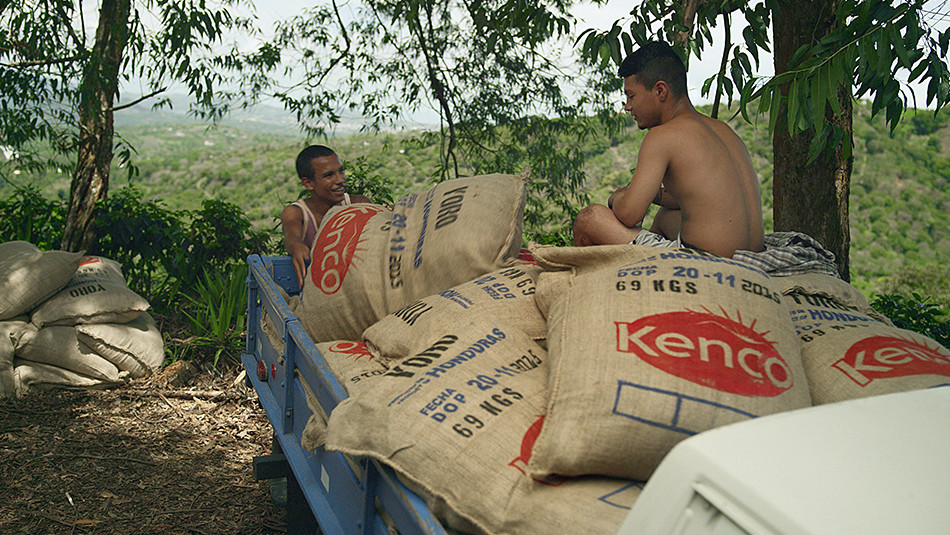 Coffee bean sacks loaded on a truck